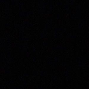 Meet your Posher, Sanele